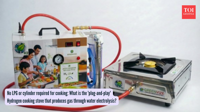 No LPG or cylinder required for cooking: What is the 'plug-and-play' Hydrogen cooking stove that produces gas through water electrolysis?