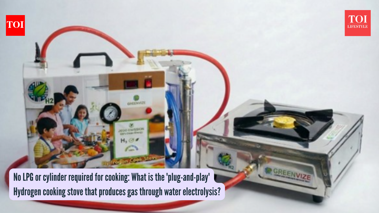 No LPG or cylinder required for cooking: What is the 'plug-and-play' Hydrogen cooking stove that produces gas through water electrolysis?