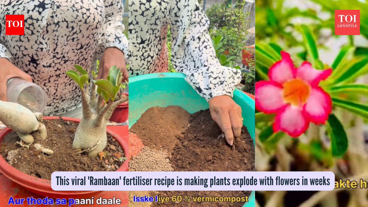 This viral 'Rambaan' fertiliser recipe is making plants explode with flowers in weeks