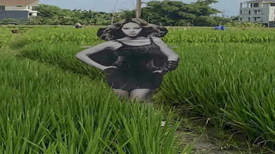 Believe it or not: Scarecrows in Bali just got a premium Queen Bey upgrade