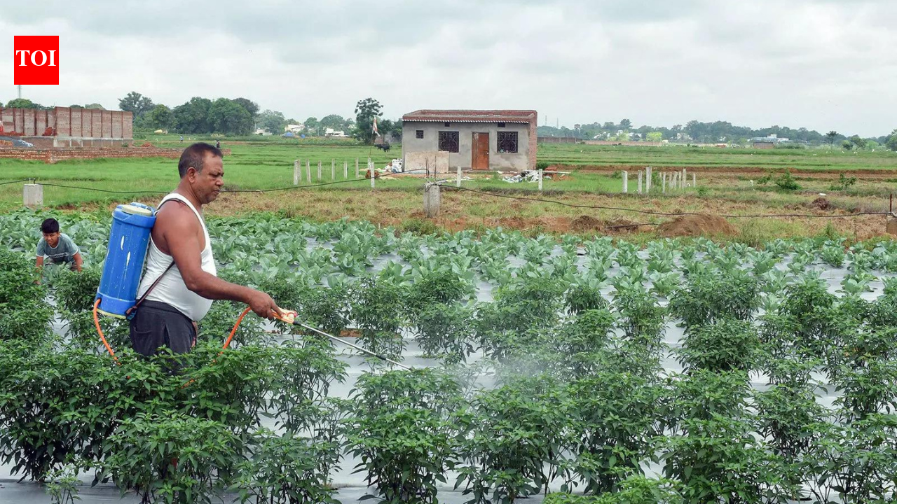 Fertiliser support: Cabinet clears Rs 41,534 crore nutrient-based subsidy for Kharif 2026; DAP price kept unchanged