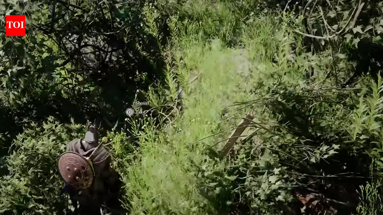 How to get Skyroot in Crimson Desert