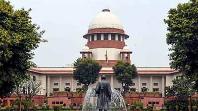 'Not good law': Centre questions adultery, same-sex relationship verdicts in Supreme Court