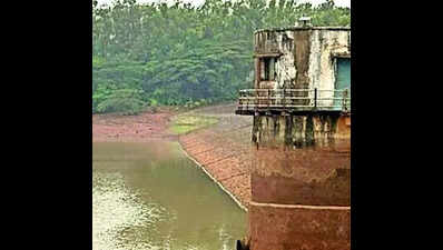 In Kaimur tribal belt, tying knot depends on rains