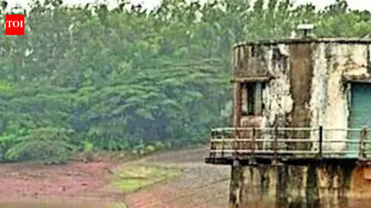 In Kaimur tribal belt, tying knot depends on rains