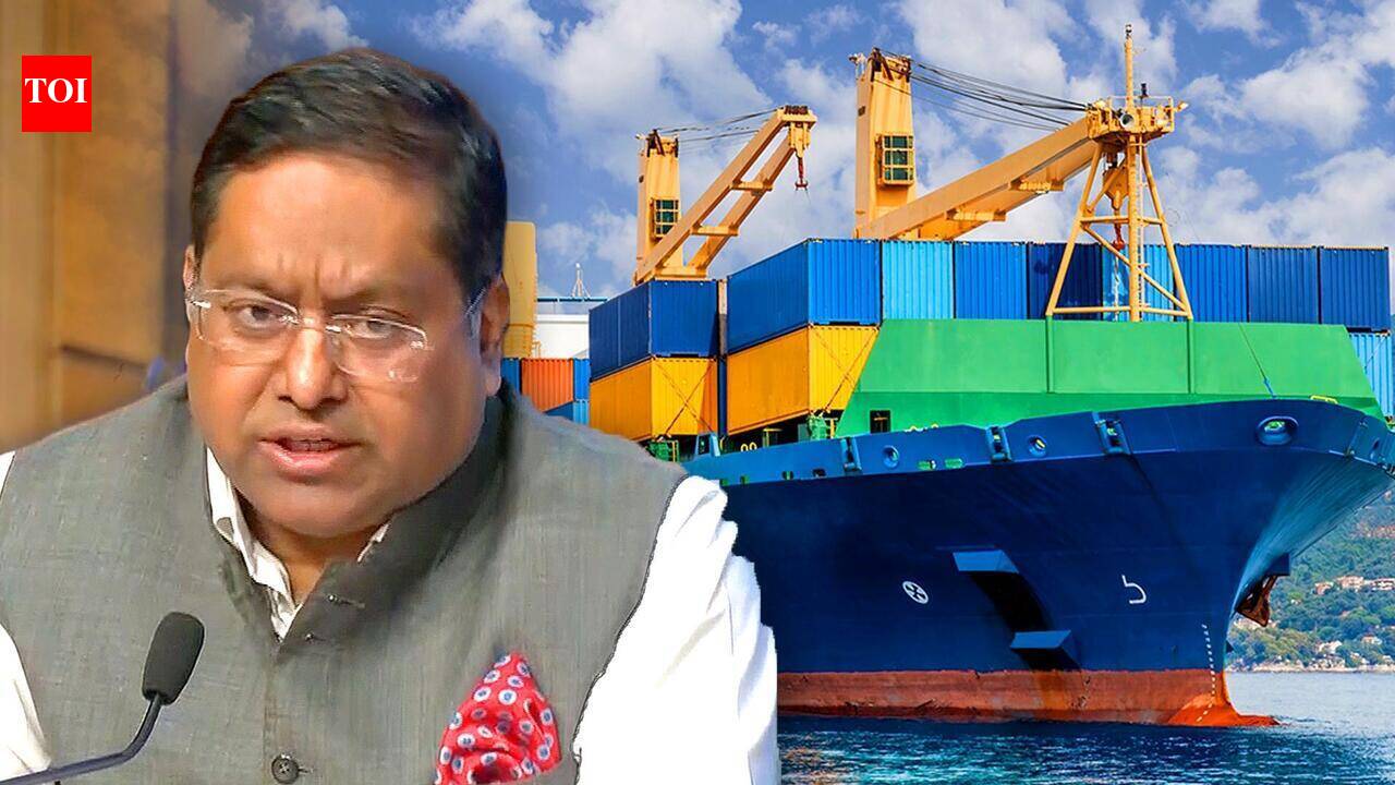 India Seeks Return Of Stranded Ships In Hormuz, Evacuation Of 7,500 Indians In Iran After Ceasefire