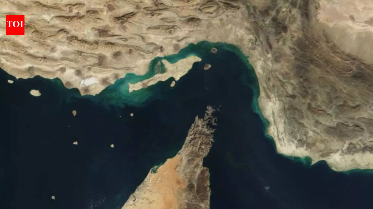 Strait of Hormuz toll? Iran to demand crypto payment from shipping firms - report