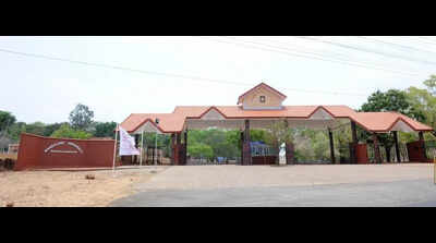 Faculty transfer gridlock after MU bifurcation