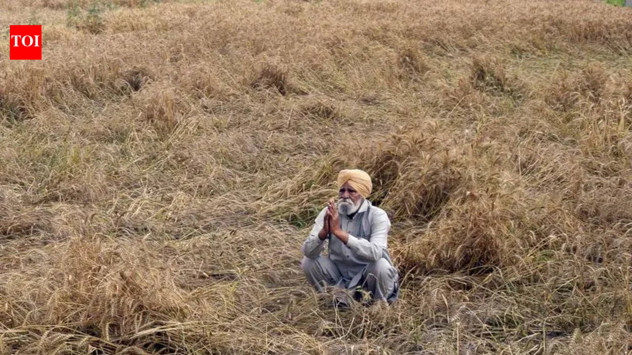 The Times of India - Politics - News Image