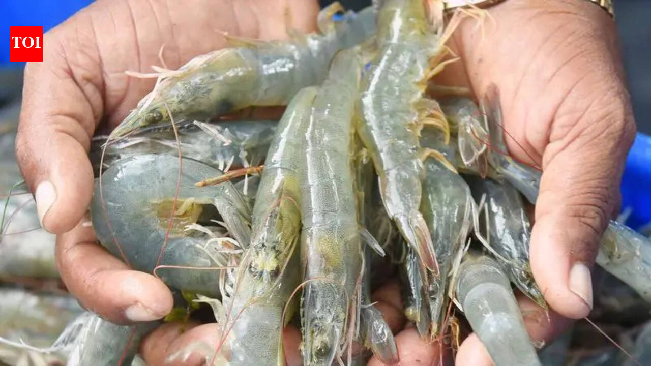 Sirsa to emerge as major shrimp farming hub: Union fisheries secy