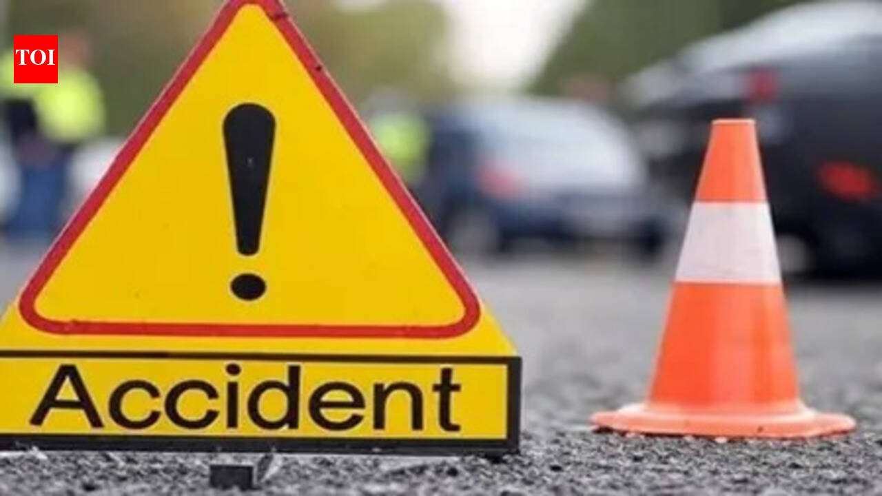 Schoolgirl dies in Bhagalpur road accident