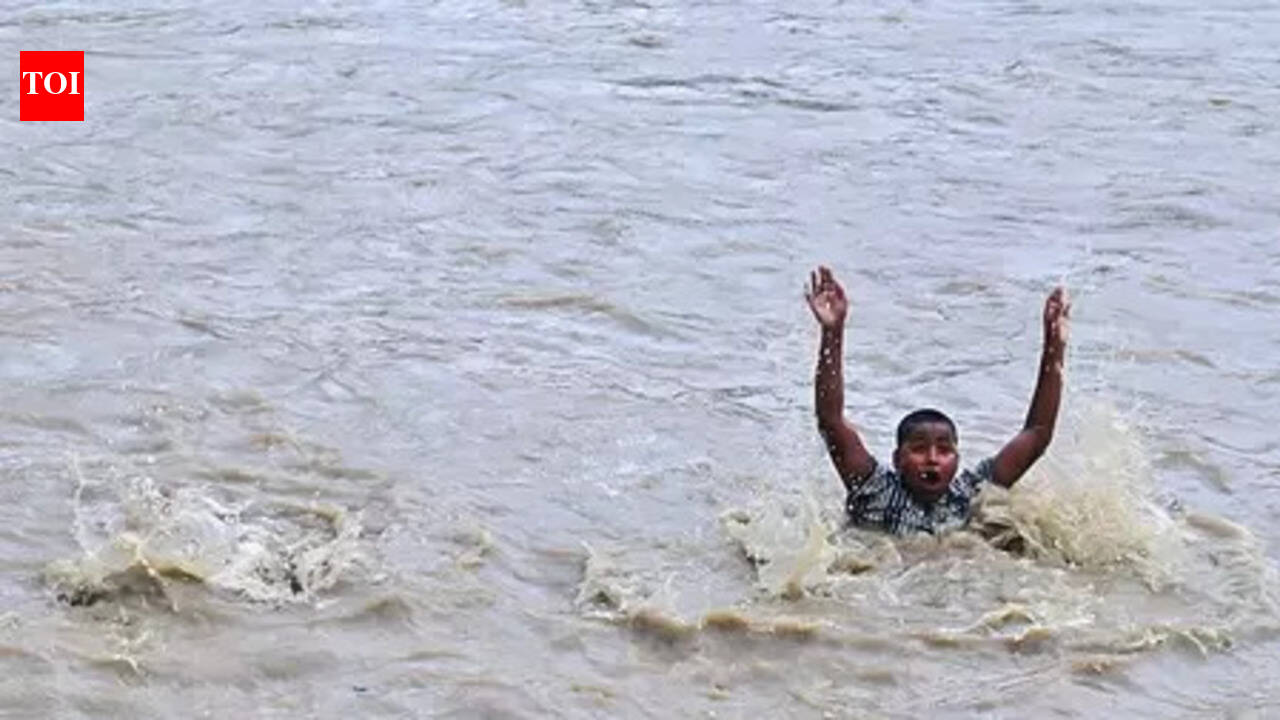 Two siblings drown in Aurangabad water-filled pit