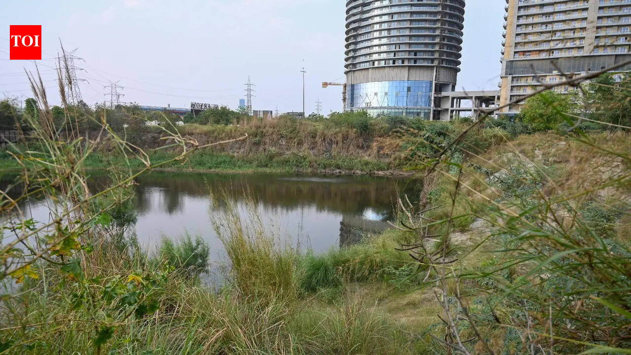 On picnic with friends after exam student drowns in water-filled pit in Noida Sector 94