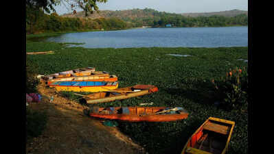 Concerns mount over inadequate Pashan STP, residents say excess sewage polluting lake