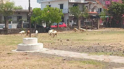 Playground Turns Problem Zone: Anandnagar’s Civic Space Slips Into Decay