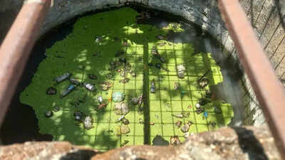 Playground Turns Problem Zone: Anandnagar’s Civic Space Slips Into Decay