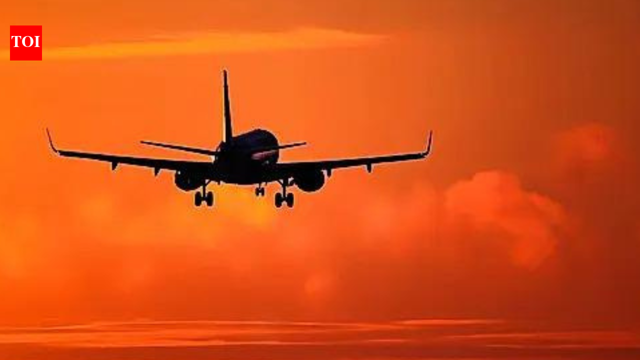 Cut airport fees for domestic flights by 25% for 3 months: Government