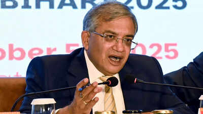 ‘You can’t talk like this,’ observer shoots back at CEC Gyanesh Kumar, gets removed