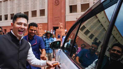  ‘Interesting Thought’: Raghav Chadha Hints at Launching Own Political Party