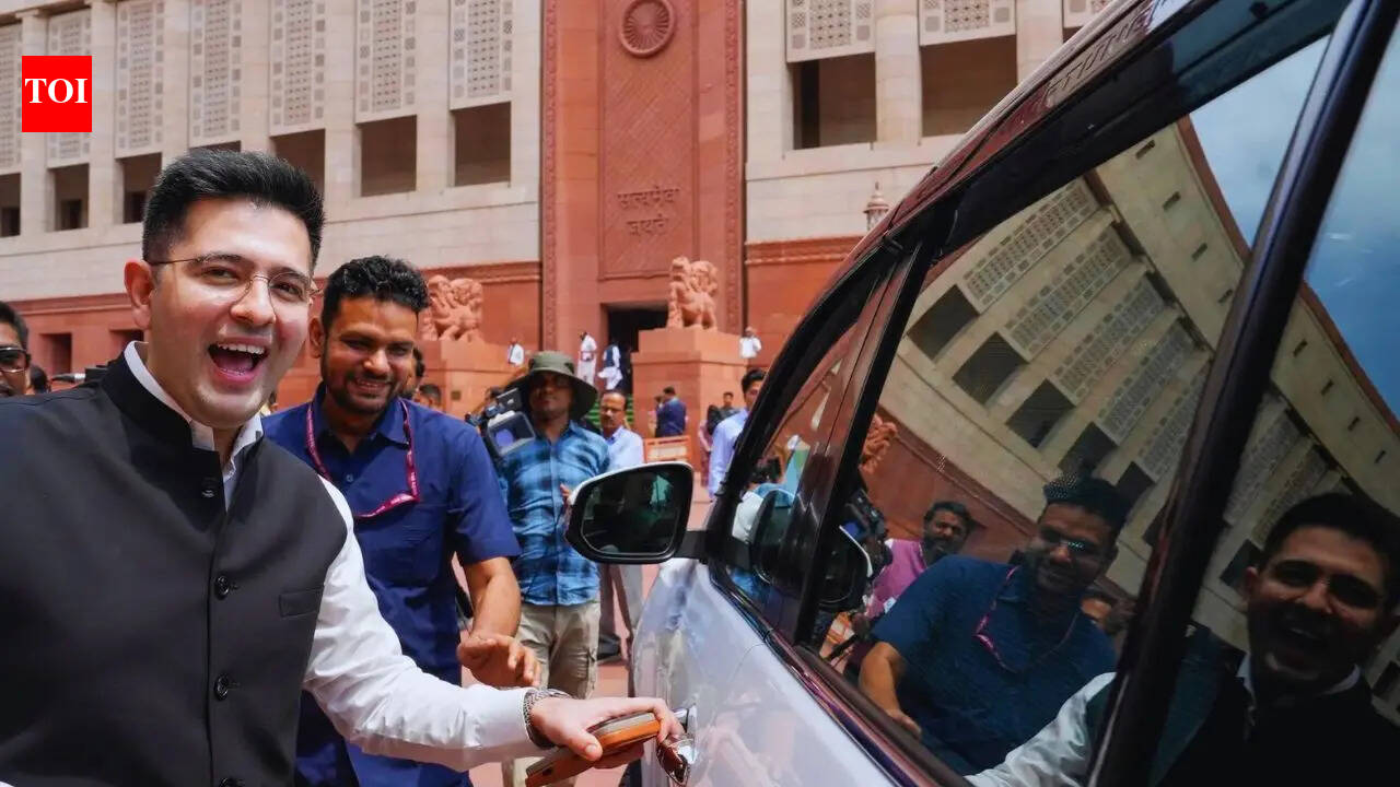 'Interesting thought': Raghav Chadha hints at own political party