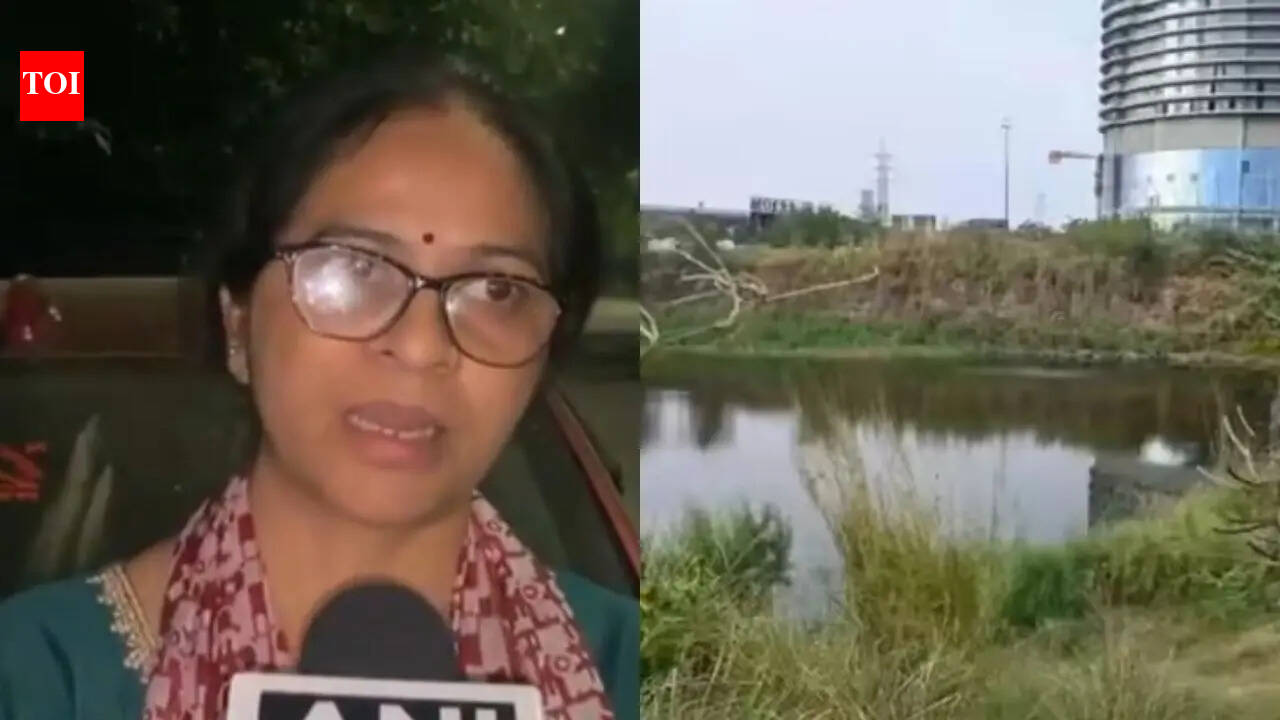'Black marks on body, my child was murdered': Mother of Noida student who drowned in pit