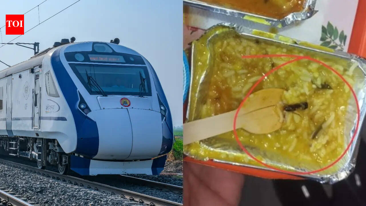 Insect in train food, IRCTC fines vendor Rs 10 lakh: 3 key reasons for such contaminations and safety measures to follow with train food