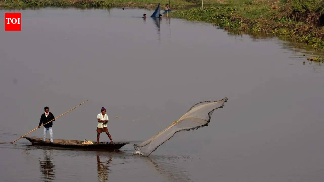 Tamil Nadu assembly polls: Parties offer aid, but fishers seek better infra, livelihood