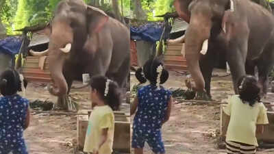 This adorable dance between two kids and an elephant is pure joy