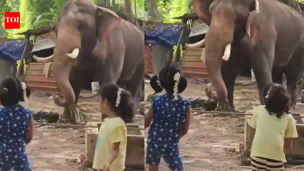 This adorable dance between two kids and an elephant is pure joy