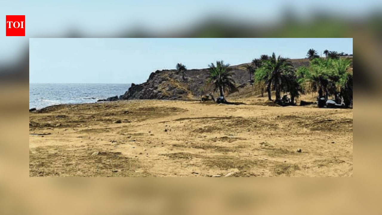 Manori desal plant clears CRZ hurdle, Centre’s nod awaited