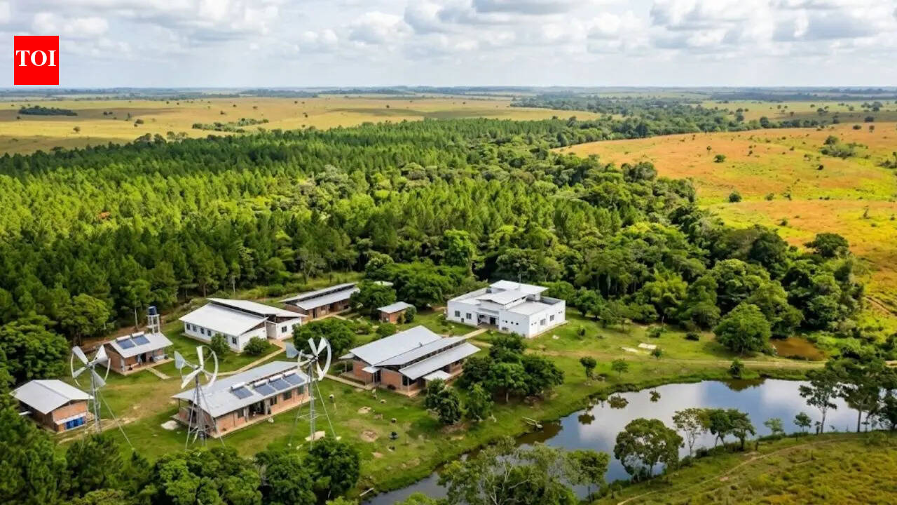 Las Gaviotas: How a tiny town in Colombia created a green Utopia