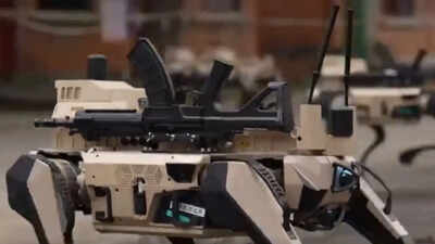 'Wolf pack': China unveils killer canine bots that share brain, primed for urban combat