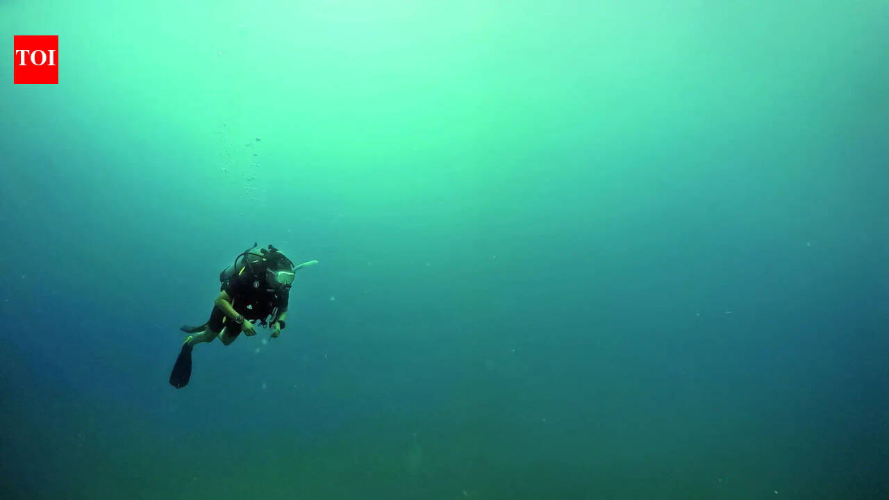 ‘Deep-sea diving felt like entering another world’: Nidhi Subbaiah on her first diving experience