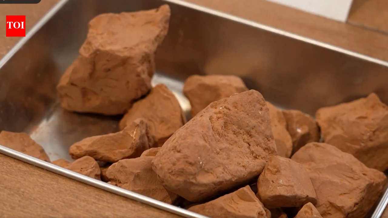 Taste the soil: London’s Museum of Edible Earth invites visitors to eat dirt from around the world