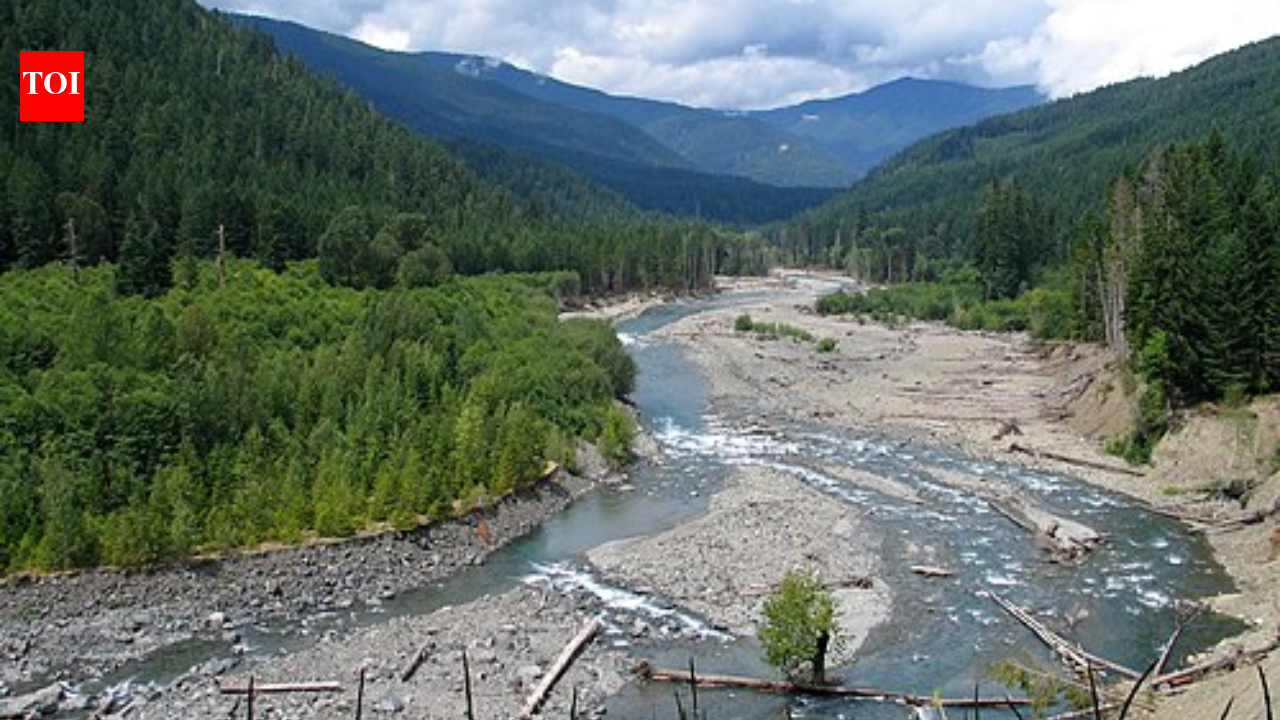 What happens when scientists move an entire river? The answer could reshape our future