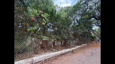 Citizens oppose BMC plan for alternative reservoir in Mumbai’s Hanging Gardens precinct