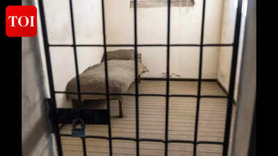 Roblox grooming horror: Teen jailed after targeting 14-year-old girl in chilling online abuse case