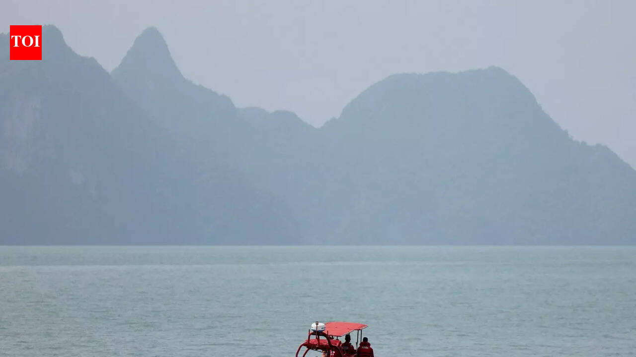 Four dead after boat sinks off French coast during attempt to cross English Channel