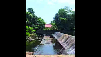 To check flooding, WRD to desilt Kushavati river.