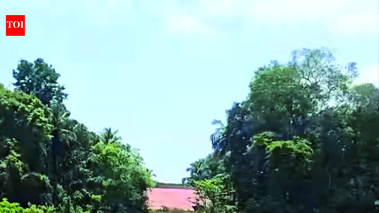 To check flooding, WRD to desilt Kushavati river