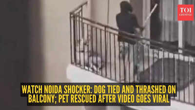 Watch Noida shocker: Dog tied and thrashed on balcony; pet rescued after video goes viral