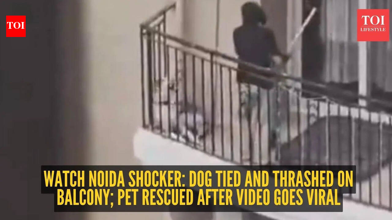 Watch Noida shocker: Dog tied and thrashed on balcony; pet rescued after video goes viral