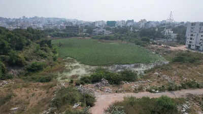 Without sewage control, Hyd’s lake rejuvenation falls short, say experts