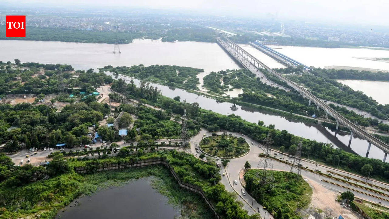 ‘Harshit was trained swimmer’: Mother of Amity student questions injury marks on hand, back & legs