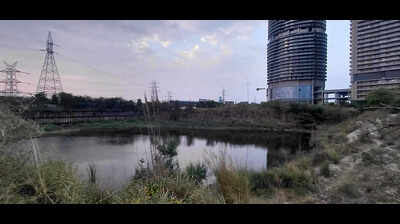 'Harshit was trained swimmer': Mother of Amity student questions injury marks on hand, back & legs