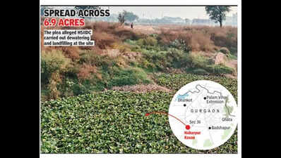 Petition says road built over wetland in Manesar, NGT orders probe