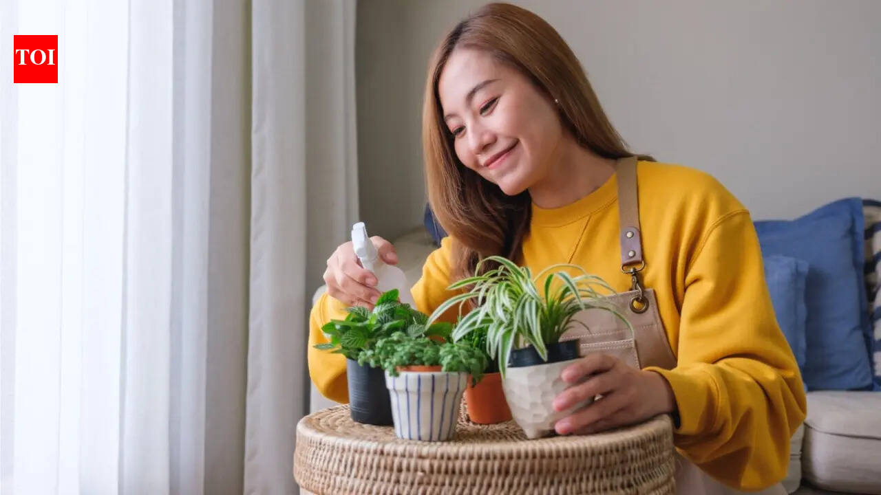 Struggling to keep your indoor plants alive? 5 houseplants that thrive with minimal care