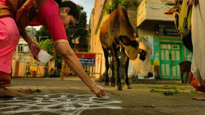 Nobody warns you about this: An Australian tourist shows India beyond the stereotypes, and what visitors are finally noticing