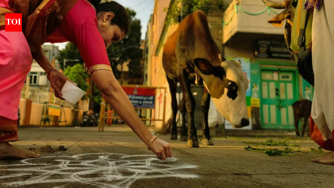 Nobody warns you about this: An Australian tourist shows India beyond the stereotypes, and what visitors are finally noticing