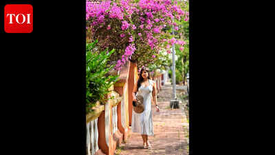 ‘Bahut jhooth bol bol ke hum Goa bahut baar aaye hain’